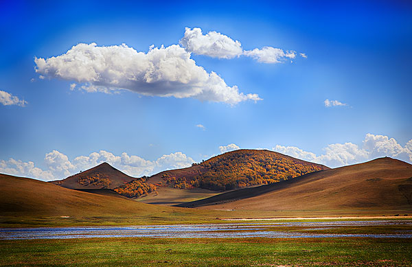 这3大生肖2018年将实现存款飞涨，得财神厚爱