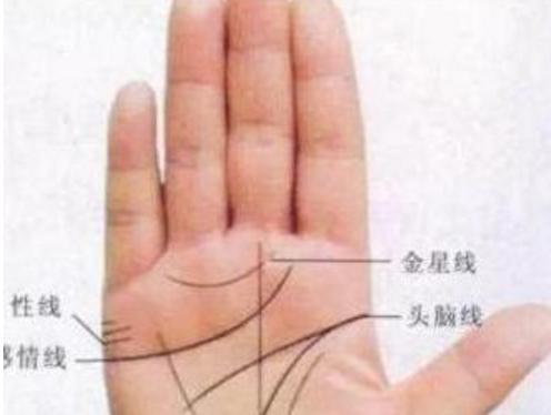 越老越富的手相，40岁之后必发大笔财富！
