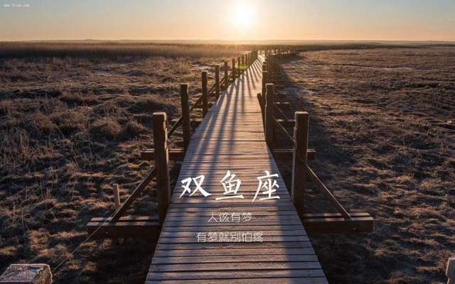 年底桃花运最旺的星座,有望领回家过年哦!