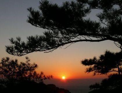 最坚实的依靠，不管发生什么永远镇定自若的星座