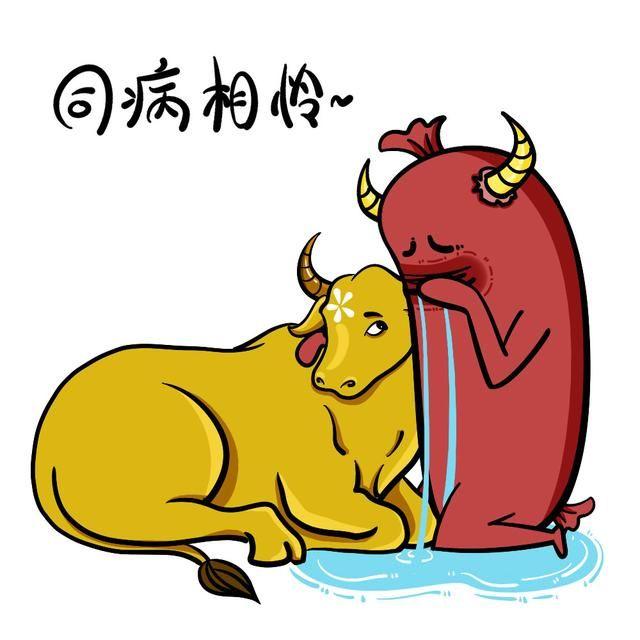 十二星座遇到真爱之前会经历几段感情