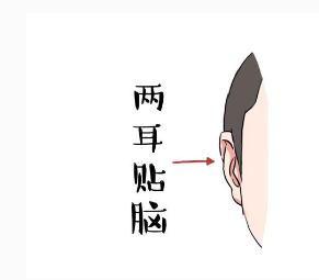 这3种耳相的人,一生富贵不缺钱,你有吗?