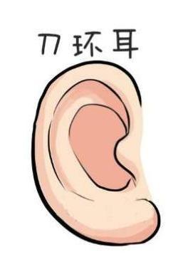 这3种耳相的人,一生富贵不缺钱,你有吗?