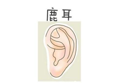 这3种耳相的人,一生富贵不缺钱,你有吗?