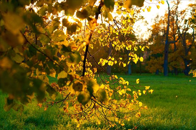 未来一个月，凶星走财神来，横财不绝，全家人一起数钱的三大生肖