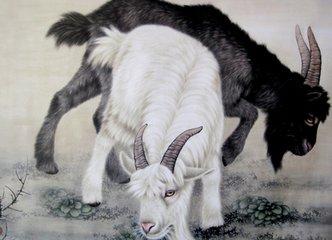 2018年这三大生肖三喜临门,门丁兴旺,升职加薪