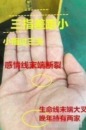 此手相者难赚大钱，但婚姻幸福
