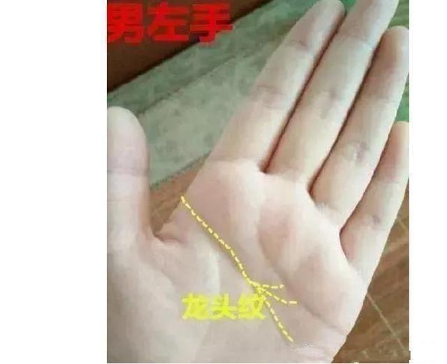 手相惊现龙头纹,前半生辛苦劳碌,下半生翻身做老板,富贵有余