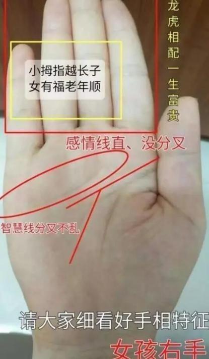 手相惊现龙头纹,前半生辛苦劳碌,下半生翻身做老板,富贵有余