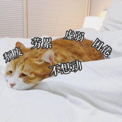 发起脾气来又快又急,比火药还猛的四个星座,遇见了躲远点!