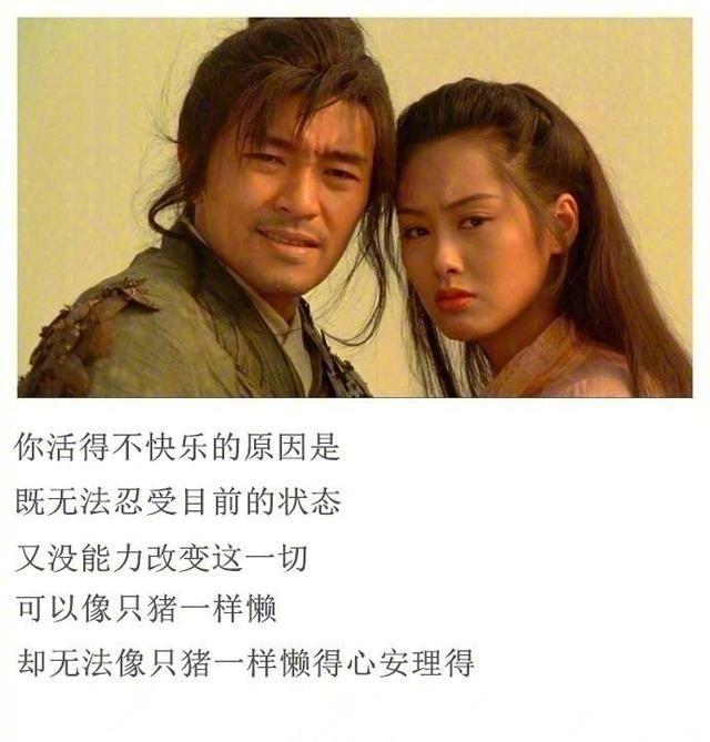 对自己不喜欢的人,连敷衍一下都做不到的星座