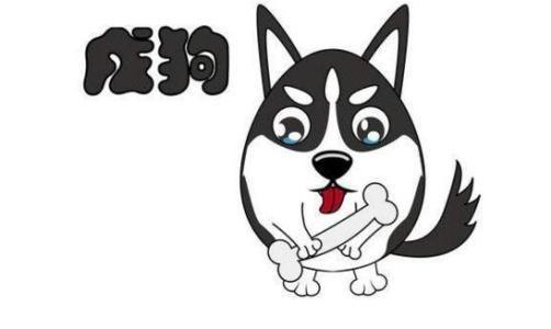 这三大生肖只要肯吃苦，注定这一生就不会平凡