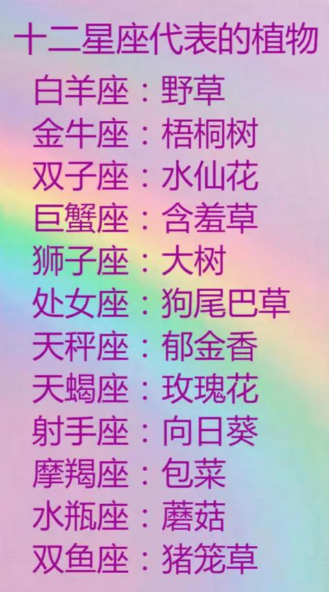 各种排行榜带你了解真实的12星座，坐稳扶好哦！
