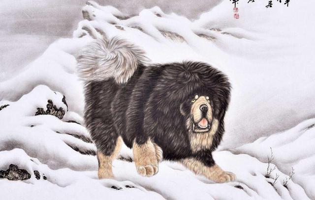 婚后赚钱能力一流的生肖男！有责任心很靠谱！