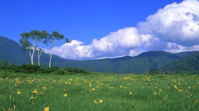 24号后,好运追着跑,钞票像下雨的3大生肖
