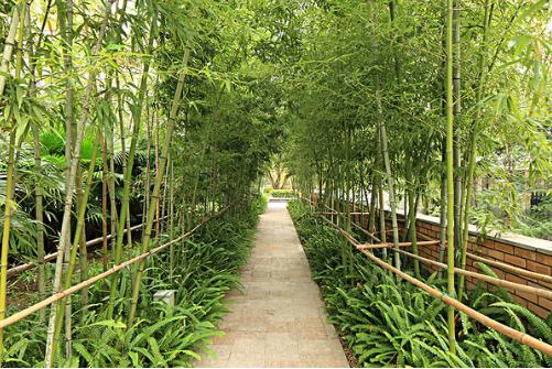 家中庭院植物必须讲究的风水禁忌,你家有吗?