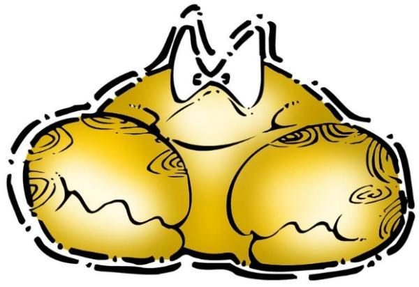 巨蟹座人生的真谛是什么?你领悟到了吗?