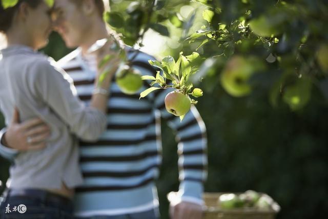 在一起一定会后悔的星座恋人，千万要避免！