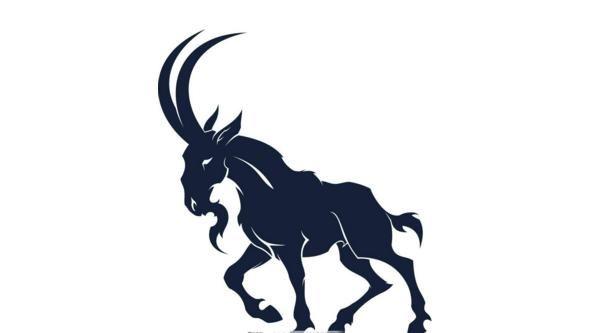 爱情平淡的2018,属羊人今年或运势不佳