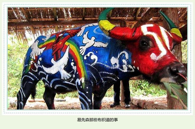 生肖牛:据说2018属牛人脚踏福星