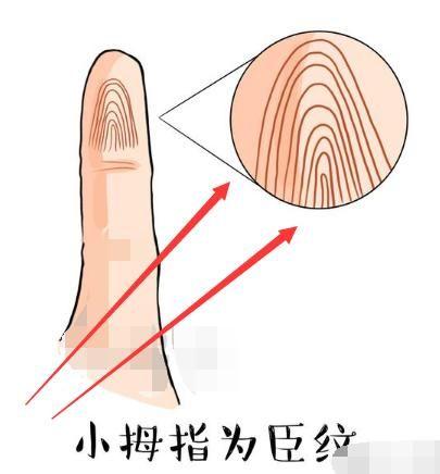 命中贵人最多的3种手相，呼风唤雨间能云集各路人才！