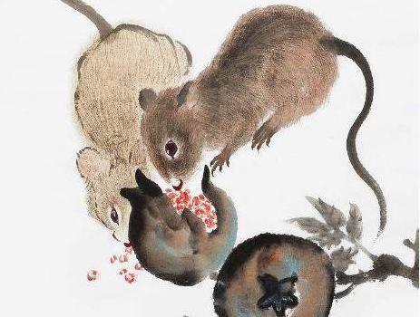两口子有这生肖,子女相当有出息,钱途无量!