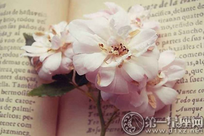 三月能给十二星座带来好运的花