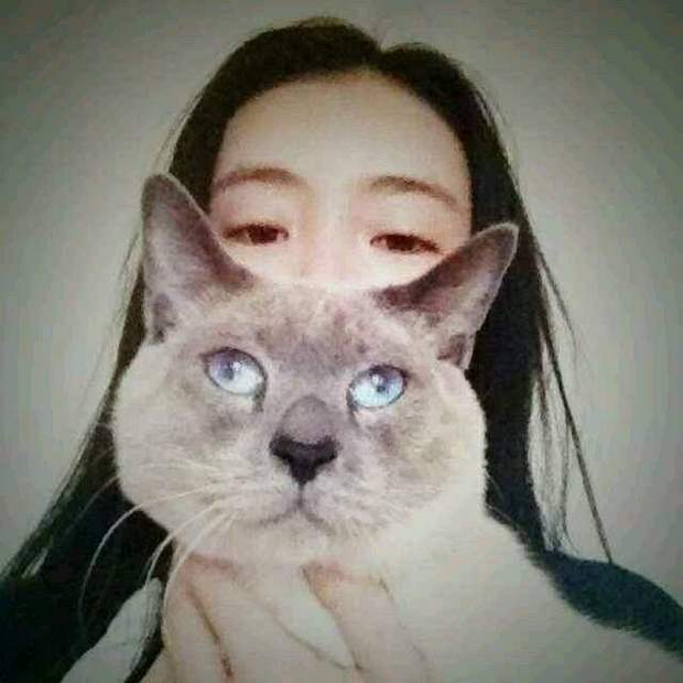 越喜欢对方,就越爱欺负对方的星座