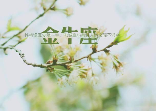 分手非儿戏,说到便能做到的星座