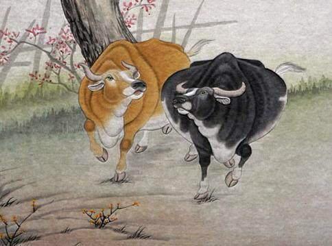 十二生肖中,一辈子都有贵人照顾,从来不会缺钱花的生肖