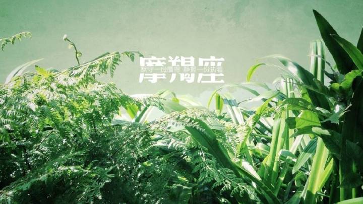 最爱装坚强的星座,第一名摩羯座,有没有你?