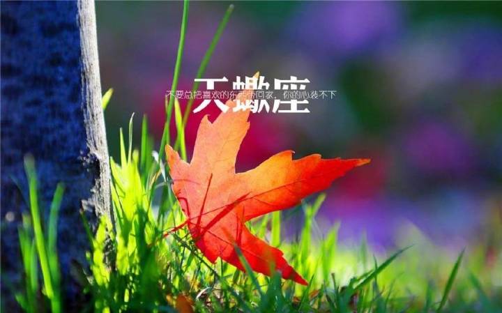 最爱装坚强的星座,第一名摩羯座,有没有你?