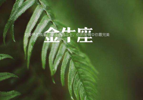 爱情中强势到底,学不会卑微的星座