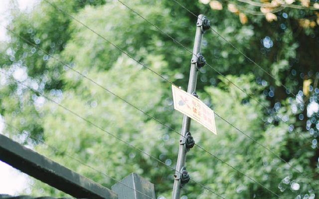 2018年横财最旺盛的三大生肖，春节期间横财如雨！