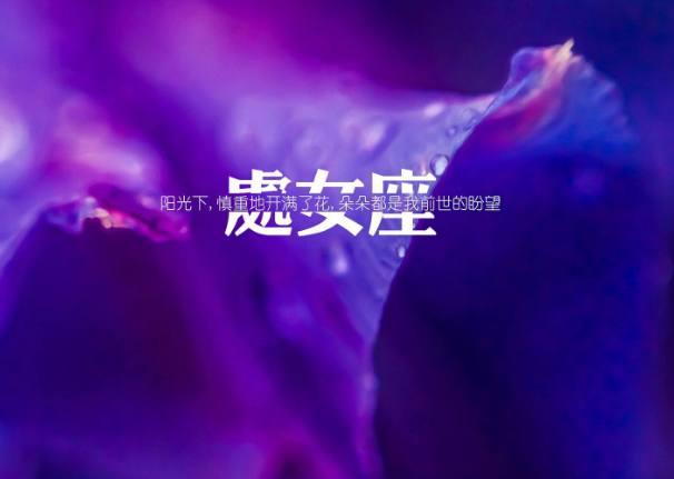 一朝分手一世陌路的星座