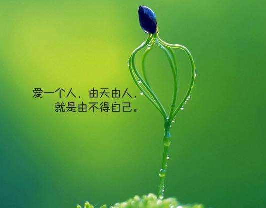 心肠太软,一不小心就会被套路的星座