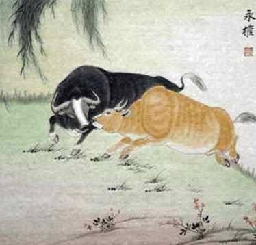 年后财神降临,财运最旺的三个生肖!