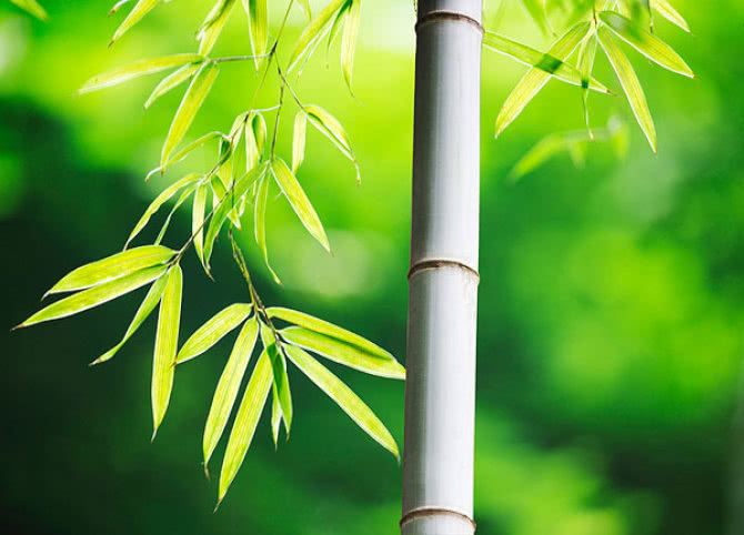 2月下半月鸿运盖顶,富贵缠身,可斩获大钱,家里金光闪烁的生肖