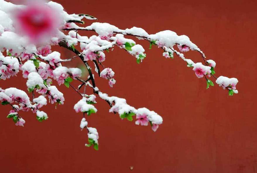 2月下半月鸿运盖顶,富贵缠身,可斩获大钱,家里金光闪烁的生肖