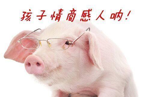这三个低情商的星座,有时候真的能被他们气到吐血