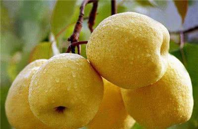 十二星座的代表水果,独属于你的酸甜味道