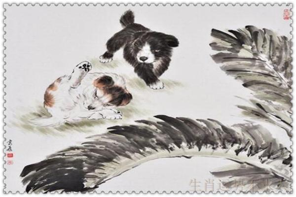 2018年3月,十二生肖运势详解!