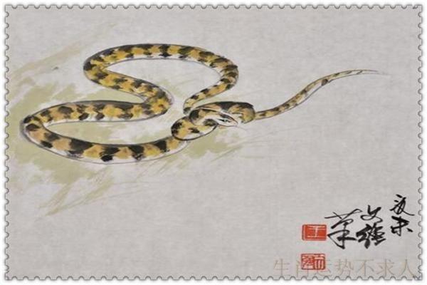 2018年3月,十二生肖运势详解!