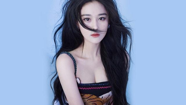 感情里只能放养,绝不能黏着的星座