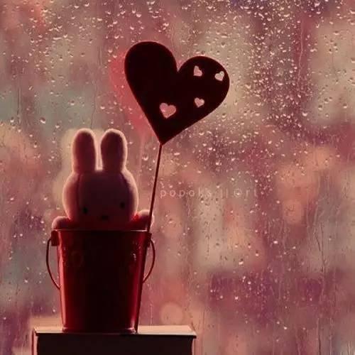 失恋会让金牛座改变爱情观吗