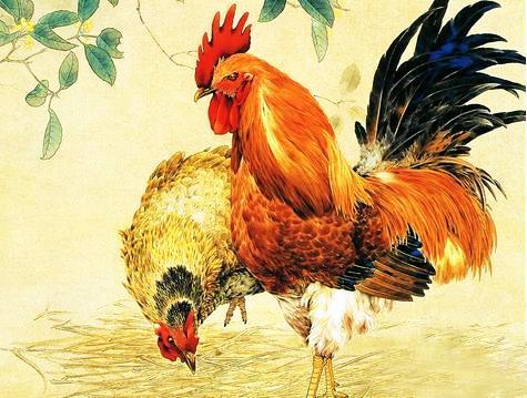 17年过得平淡无奇,18年过得富贵多金的4个生肖