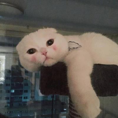双鱼座女生最讨厌和这样的男生相亲