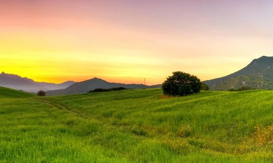 先苦后甜，后福无穷的3大属相，30岁后多财多金，到老都无忧