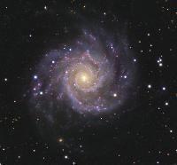 哪个星座对待感情果断决绝,绝不手软?看看有没有你……