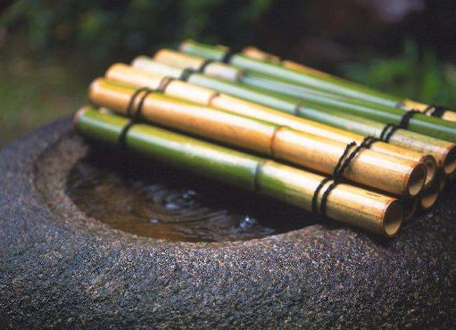 心理测试:选一本读物,看你的潜在性格是怎样的?